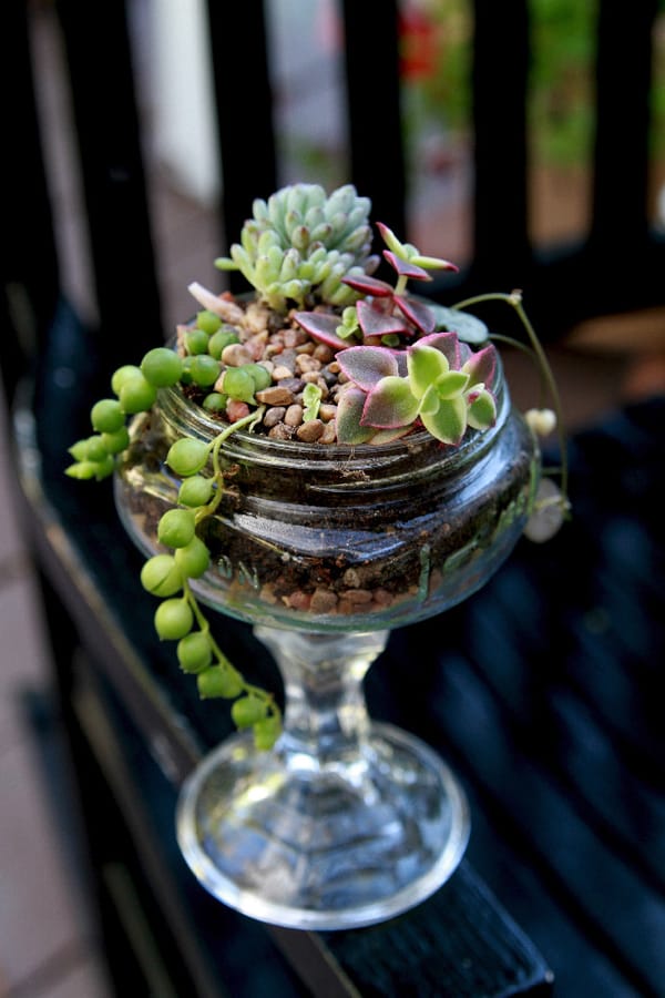 Succulent Designs... Fun with unusual containers!